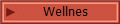 Wellnes